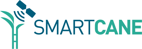 Logo-smartcane