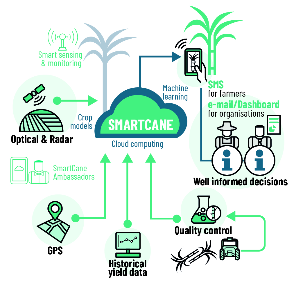 SmartCane_components_updated SmartCane_components_updated