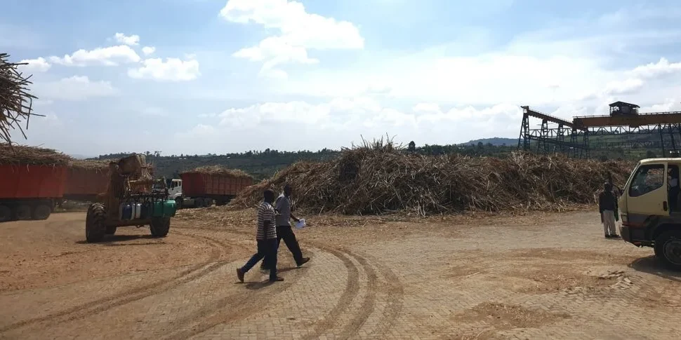 Miller support - do you recognise this 2