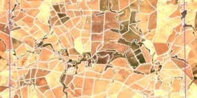 field delineation Kenya